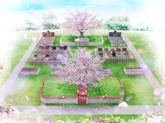 樹木葬　桜